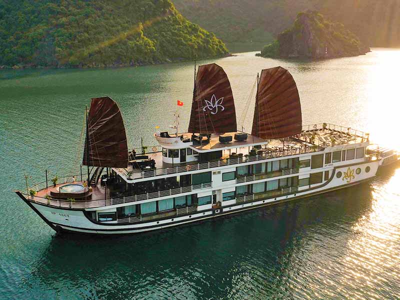 Orchid Classic Cruise - 3 Days 2 Nights