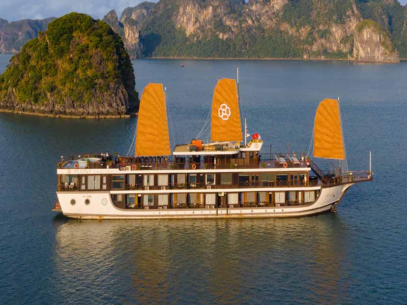 Peony Cruise - Lanha Bay & Cat Ba Island
