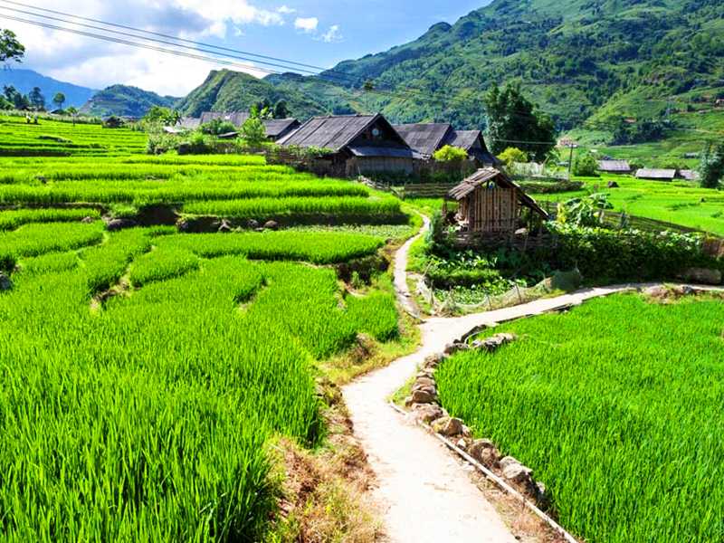 Sapa Tour 1 Day - Cat Cat Village - Cat Cat Waterfall - Sin Chai Village