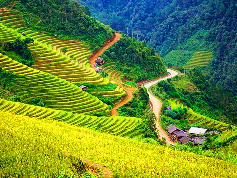 Sapa Tour 1 Day - Ma Tra Village - Ta Phin Village