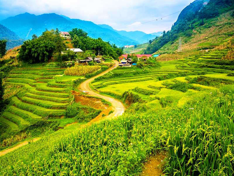 Sapa Tour By Bus 2 Days 1 Night 3-Star Hotel in Sapa (Option 1)